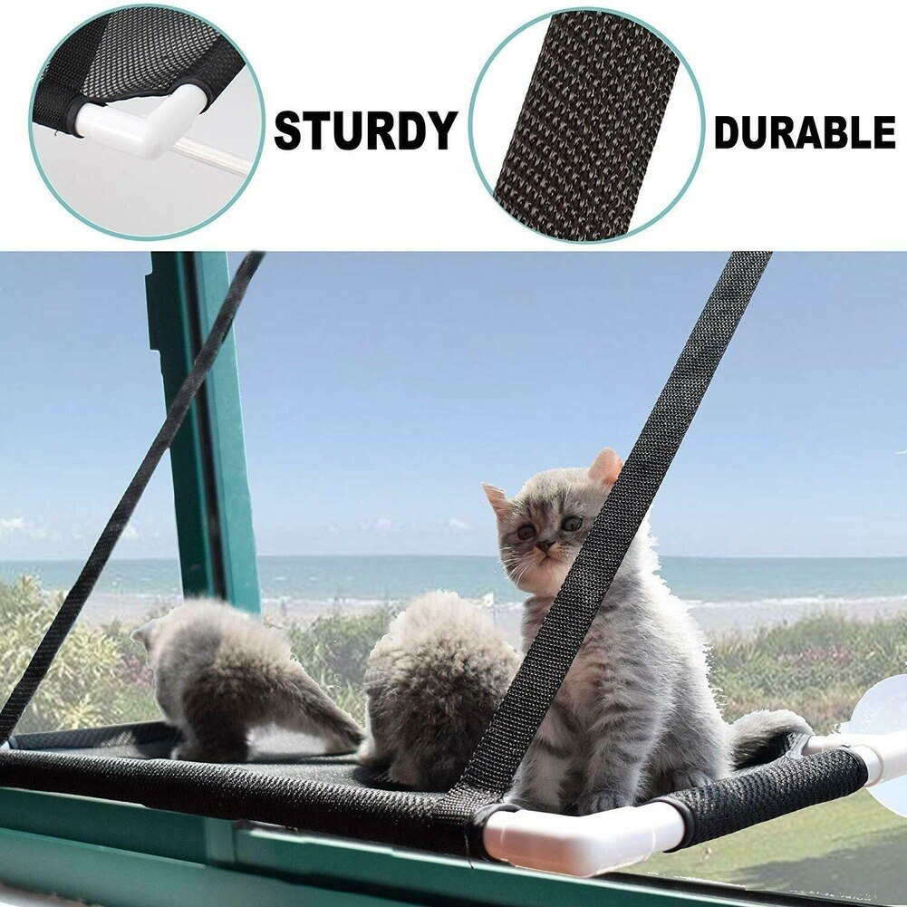 Chat hamac lit fenêtre pour animaux de compagnie perche siège monté étagère lit suspendu avec ventouses chats Kitty canapé se prélasser lit chats fenêtre balançoire