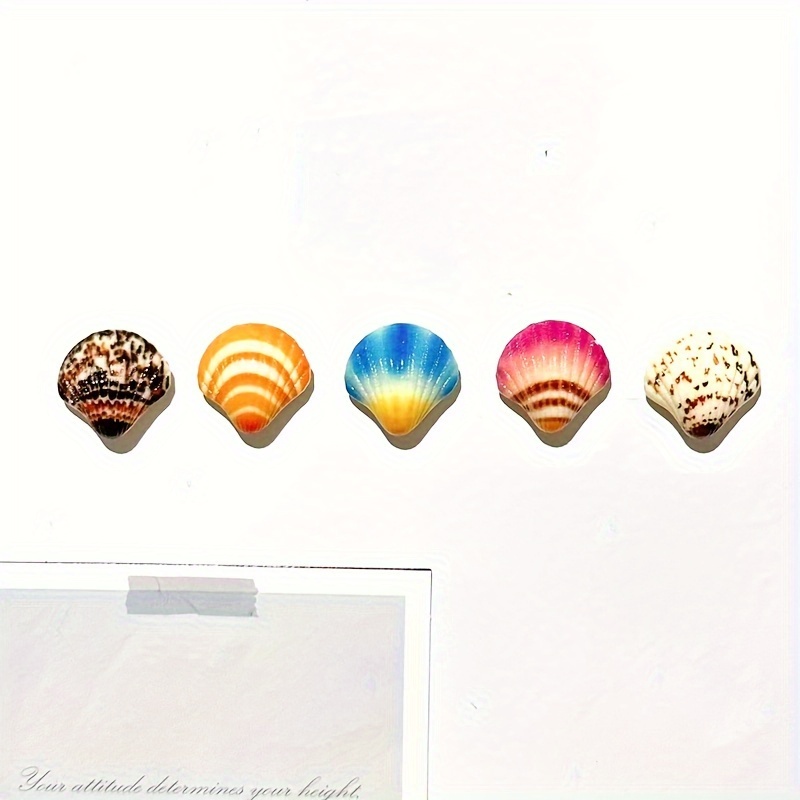 5 stuks, schattige schelp koelkastmagneten, kust schelp koelkastmagneten, sterke decoratieve magnetische stickers voor keuken