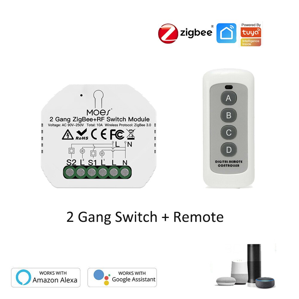 Mini Tuya Zigbee Draadloze Smart Diy Schakelaar 10A Ondersteunt 2 Manier Controle Smart Home Automation Module Werkt Met Alexa Google thuis: 2 Gang with Remote