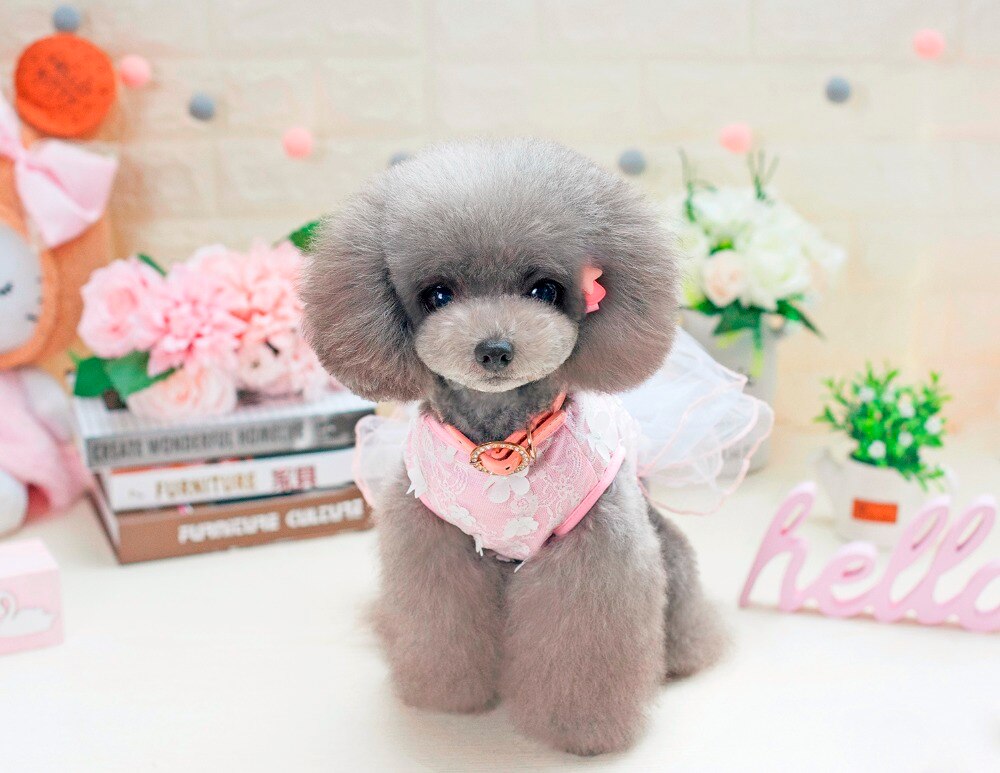 vestido de encaje para perros de compañía a la con estilo de Ballet de ensueño vestido para perros ropa para perros