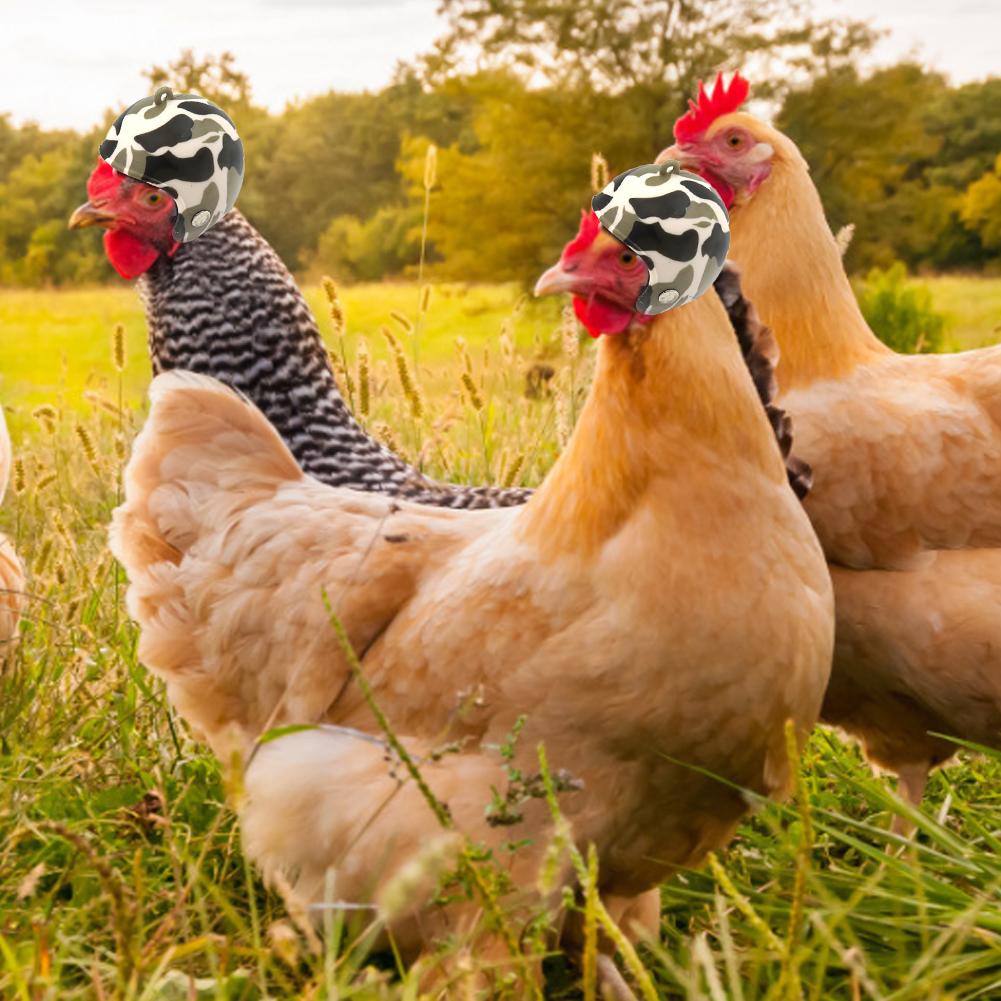 1 Pcs Funny Chicken Helmet Small Pet Hard Hat Bird Duck Hat Headgear Pet Chicken Helmet Bird Head Helmet Pet Supplies