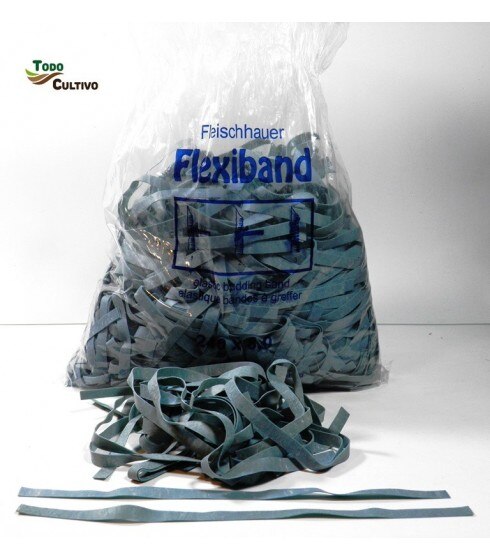 Bandes élastiques à greffer Flexiband 240x6. 1Kg.