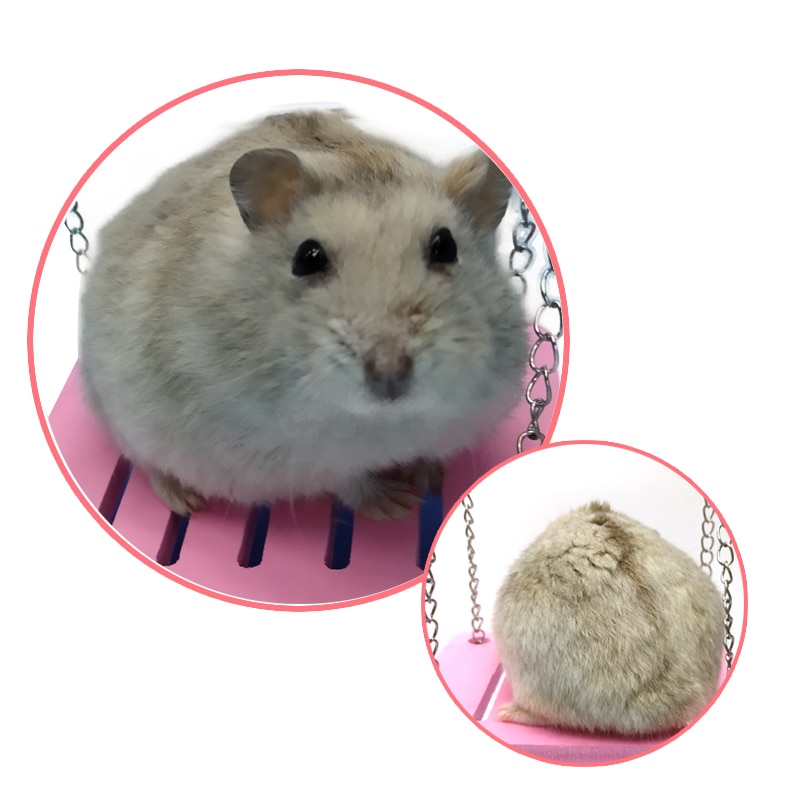 hamster svinge baby hamster hus gullbjørn hamster leketøy hamster bur kjæledyr tilbehør hengende seng hamster hengekødu rekvisitter kjæledyr leketøy
