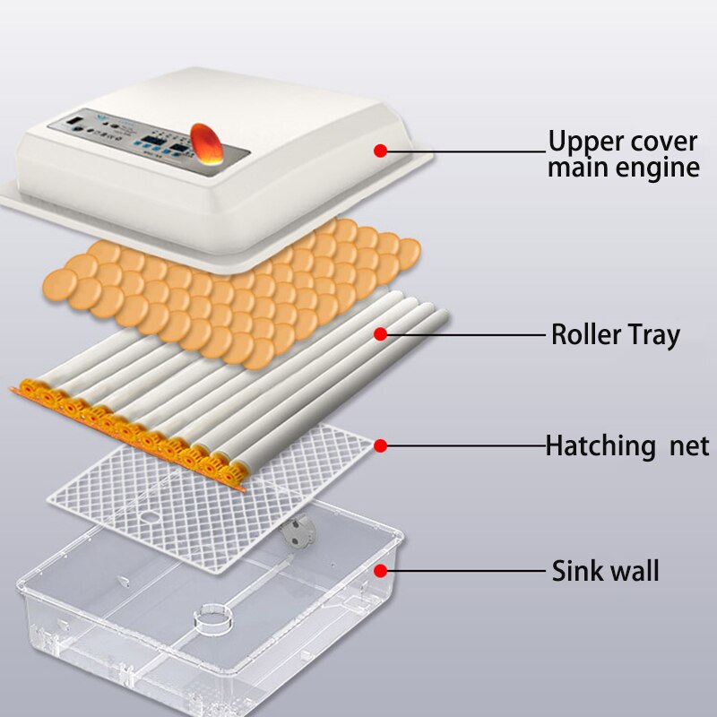Eggs Incubator Brooder Bird Quail Chick Goose Egg Hatchery Incubator Poultry Hatcher Automatic Farm Incubation Tools With Roller