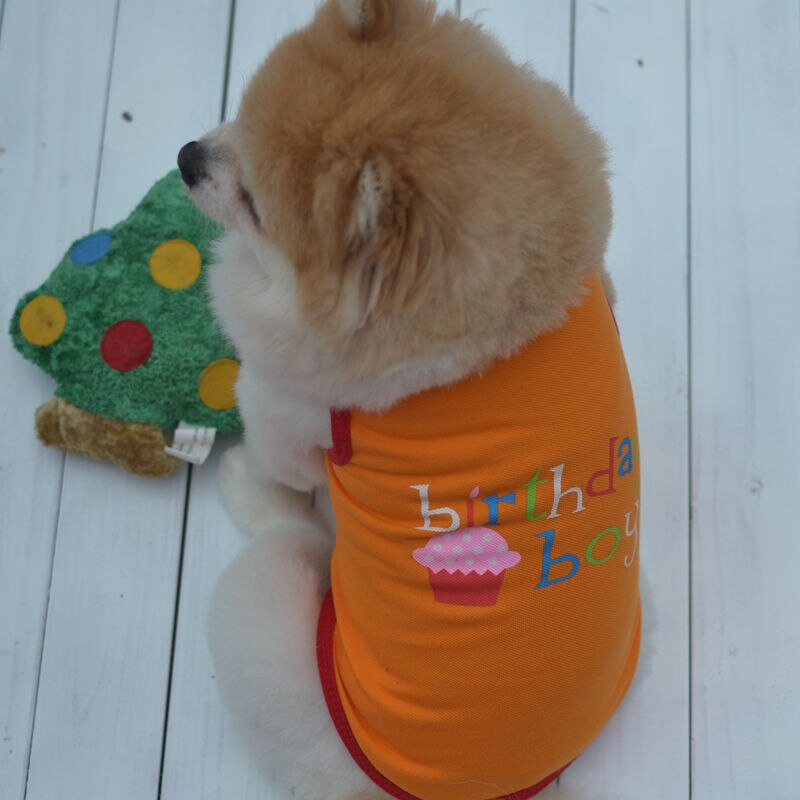 T-shirt Honden chat | Vêtements pour animaux, chien, chiot, fournitures d'animaux, t-shirt imprimé anniversaire, vêtements respirants et bon marché, E