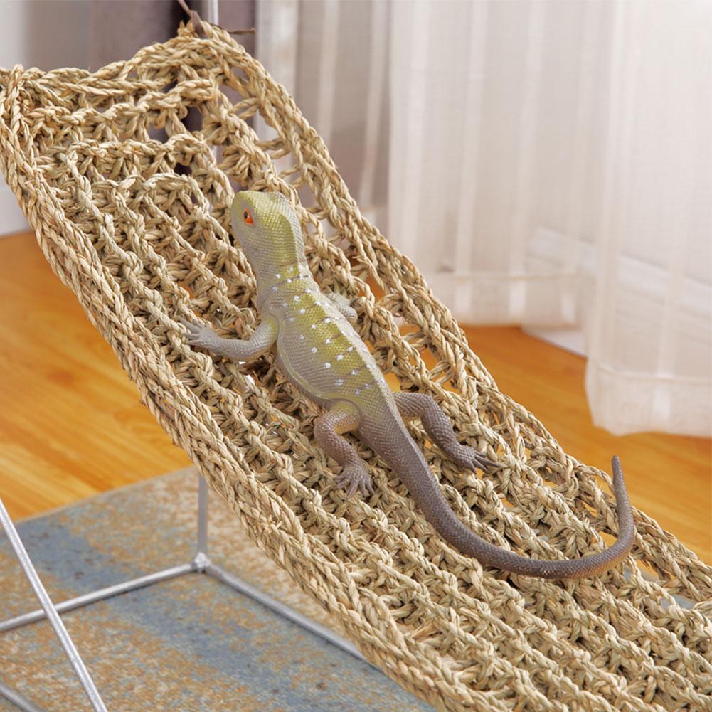 Zeewier hagedis hangmat schommel huisdier ligstoel reptielen speelgoed hangende bedmat kleine heremietkreeften gekko's bedmatten huisdier reptielen accessoires
