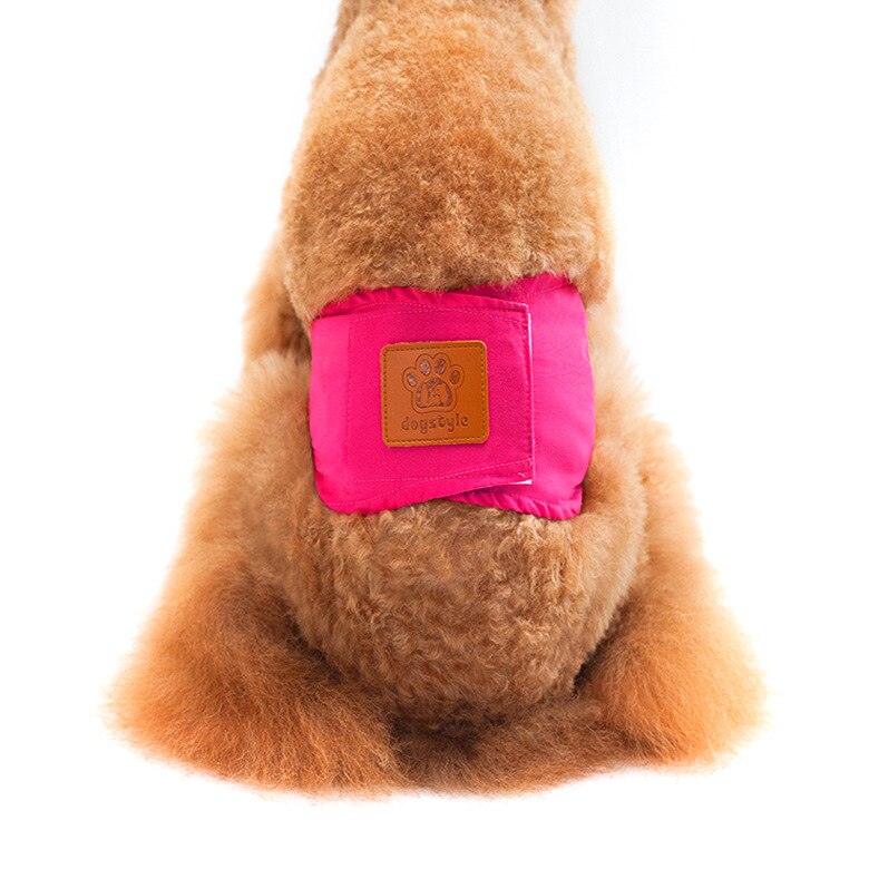 Reusable Washable Dog Shorts Dog Diaper Sanitary Physiological Pants Durable Comfortable Stylish Dog Pants Wraps for Male Dogs: Red / L