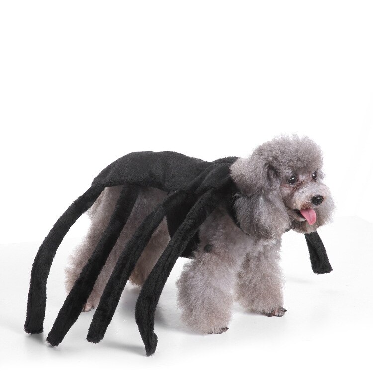 Spider Dog Costume Halloween Costumes for Small Dogs