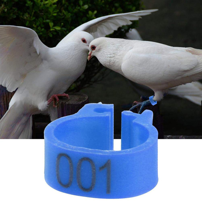 100pcs Numbered Birds Leg Bands 8mm Poultry Leg Foot Rings for Chickens Doves Pigeons 001-100 E2S