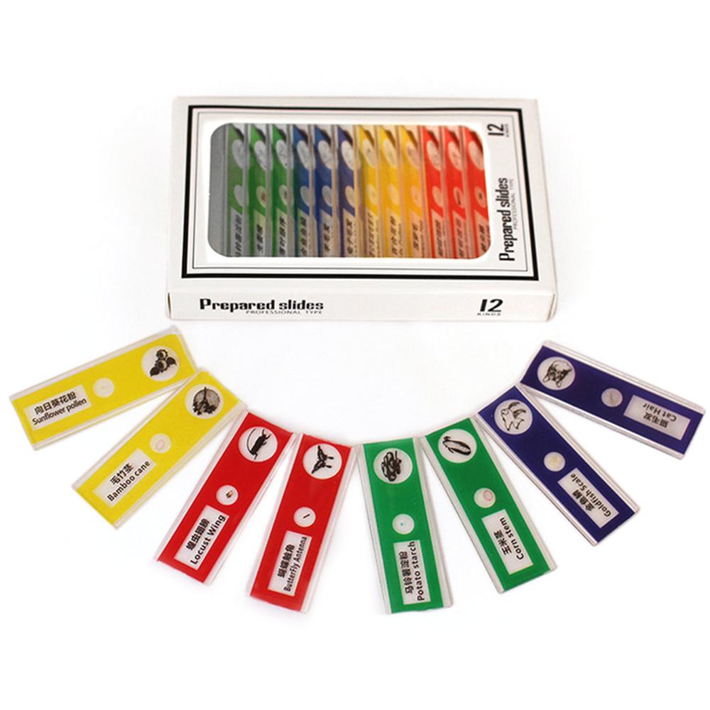 ANENG 1200X Refined Biological Microscope Kit Lab LED Home School Science Educational For Kids Child Lab Optical Instruments: Grey