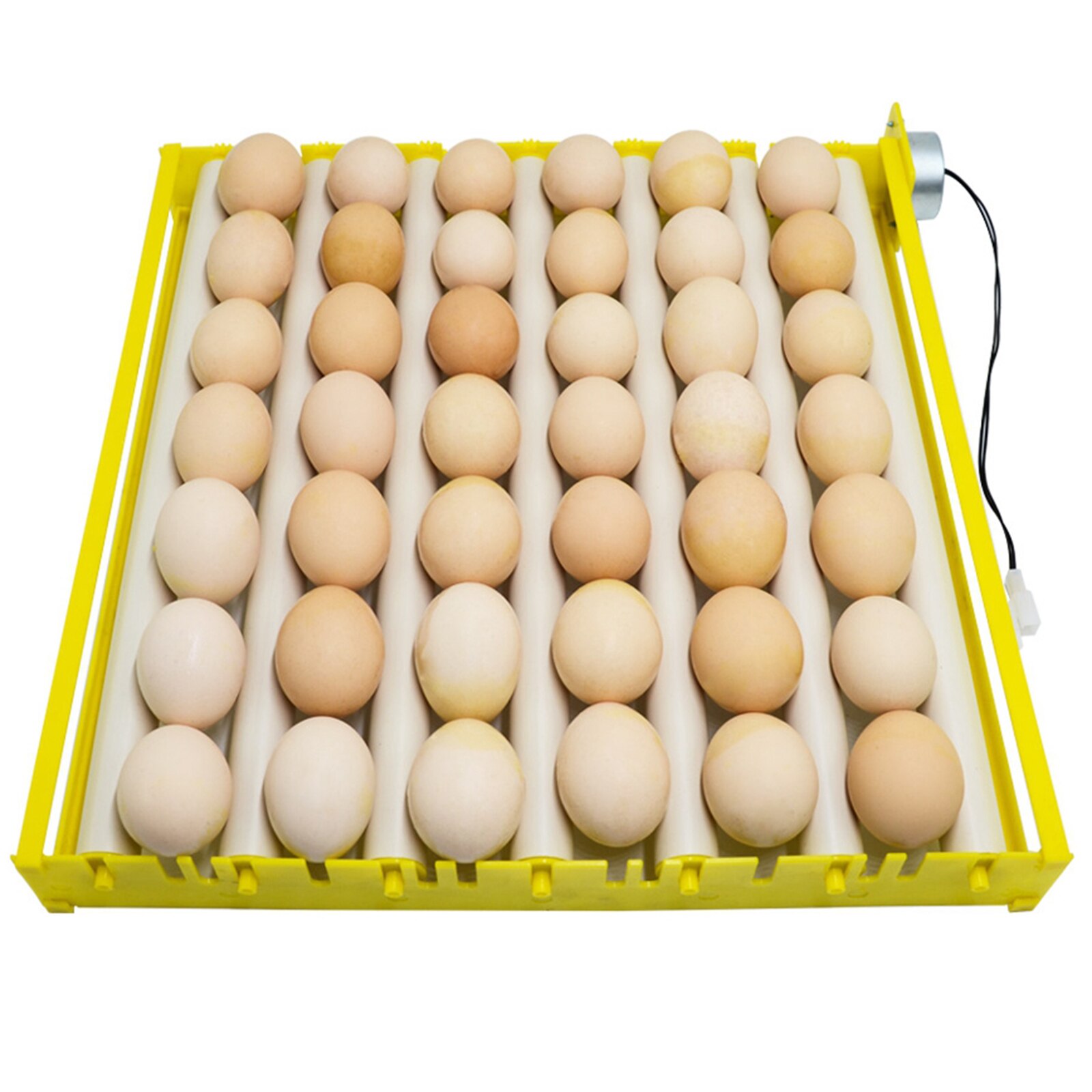 42/56 Eggs Incubator, 12V Fully Automatic Egg Incubator Hatcher Machine for Hatching Turkey Goose Birds Quail Chicken Eggs: 42Eggs 7Rods