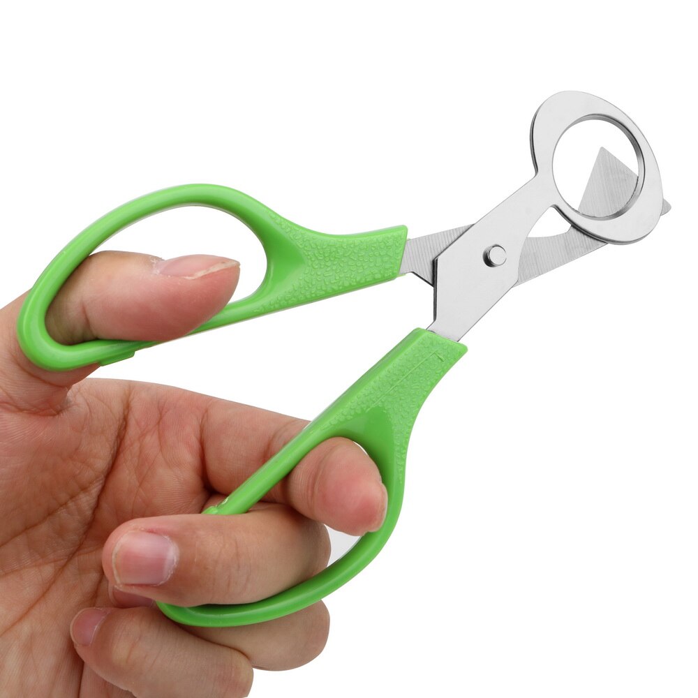 Quail Egg Shell Scissors Rust Resistant Kitchen Tools Cigar Cutters Multifunction Stainless Steel Blade Durable