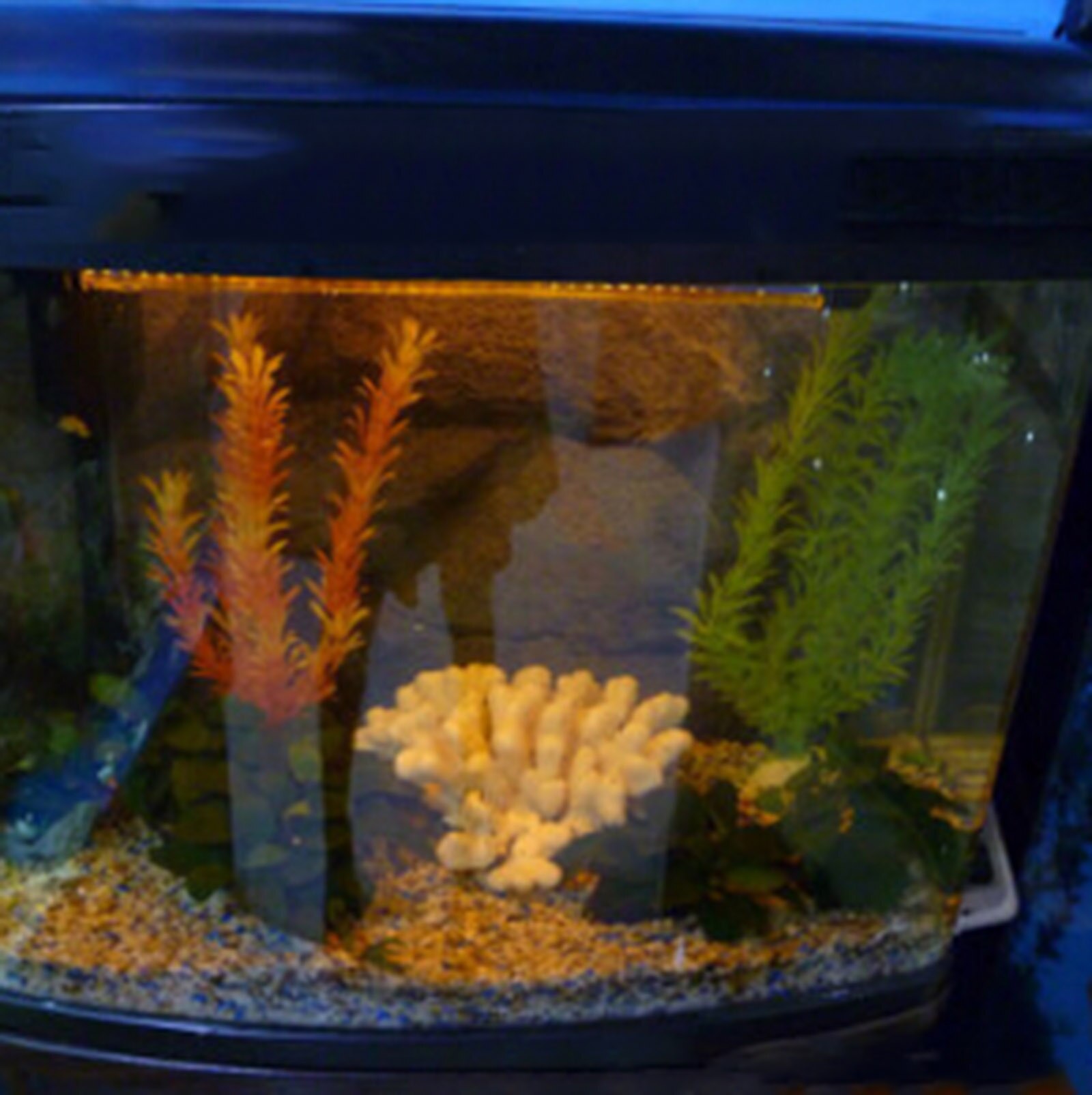 Fish Tank LED Light Lamp Aquarium Ultra Heldere Waterdichte Geel 18cm