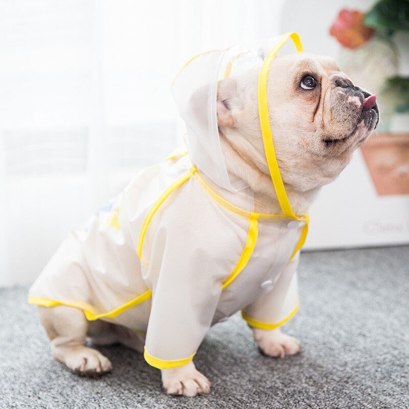 Manteau imperméable pour chien bouledogue français, Poncho Transparent givré à quatre pattes pour petit et moyen gabarit: Clair / M