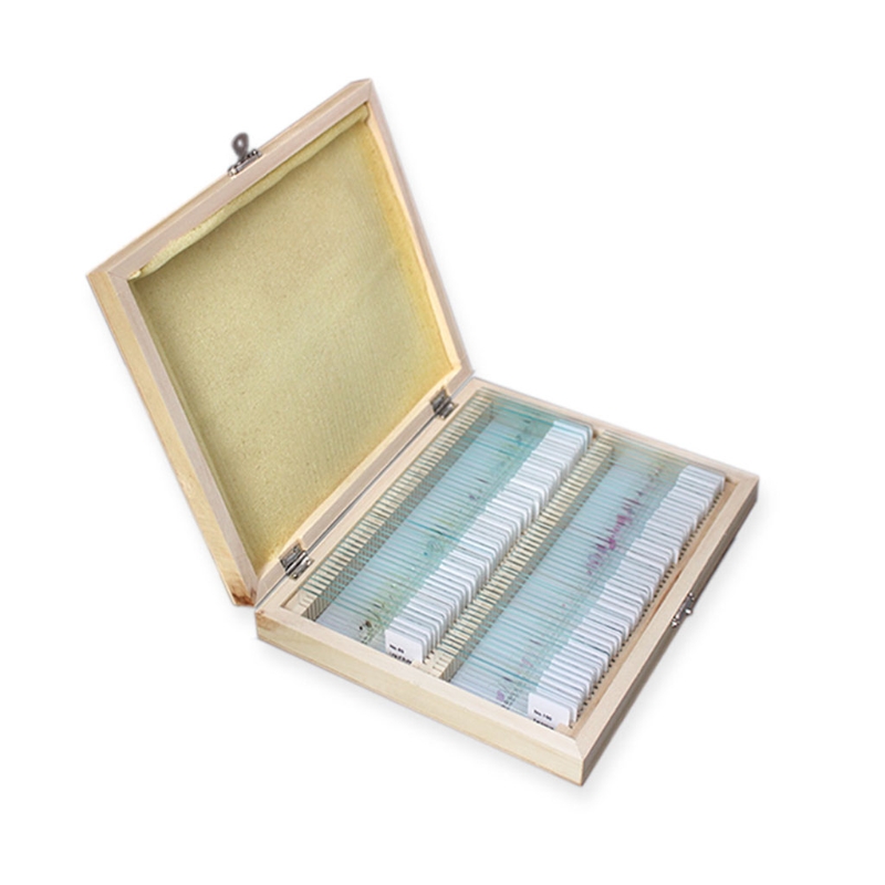 Prepared Microscope Slides Set for Kids Students Biological Science Education with Wooden Case