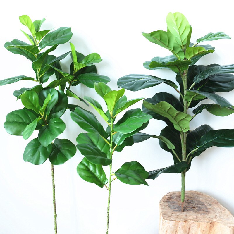 Film Lamination Plastic Simulation Plant Ficus Lyrata Single Stem Green Handfeel Plant Photography Shooting Props