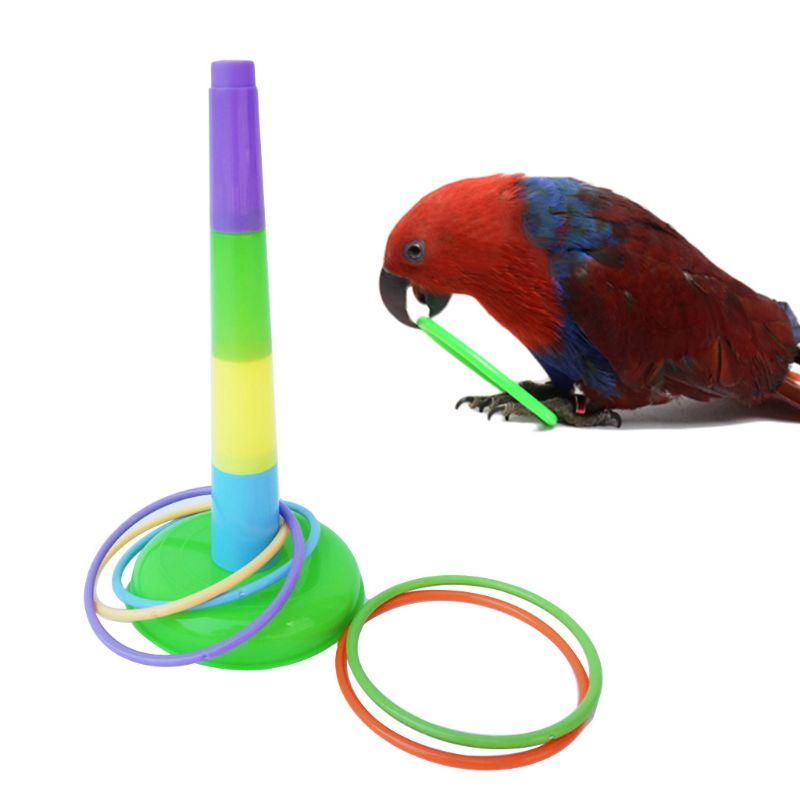 Loro pájaros juguete interactivo educativo punta al azar loros juguetes rompecabezas de entrenamiento