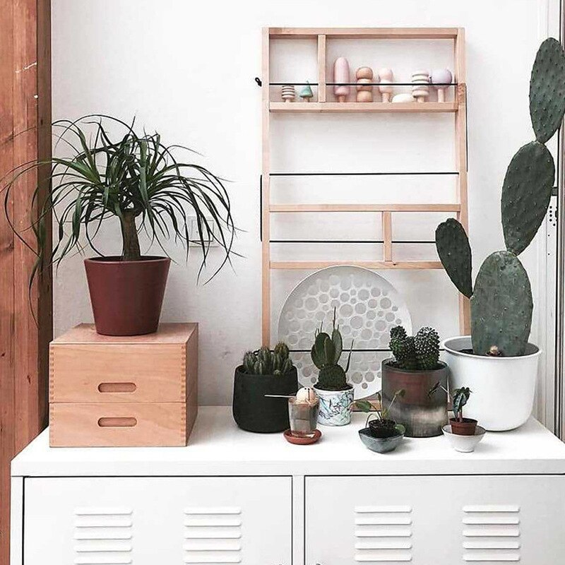 Wall Organizer Divided Storage Box Display Tray for Small Items Miniature Plant Jewelry Craft Stationary Wooden Drawer Organizer