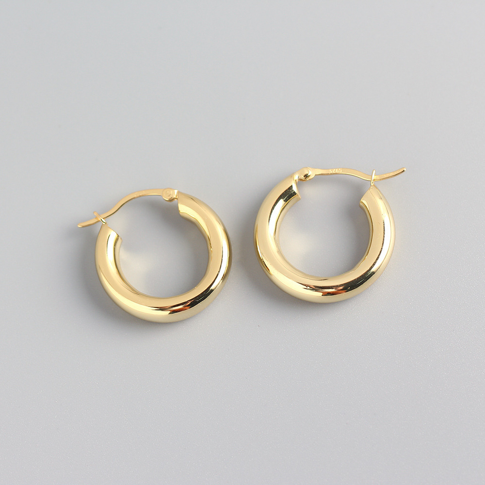 1pair Stainless Steel Hoop Earrings For Women 20/2... – Grandado