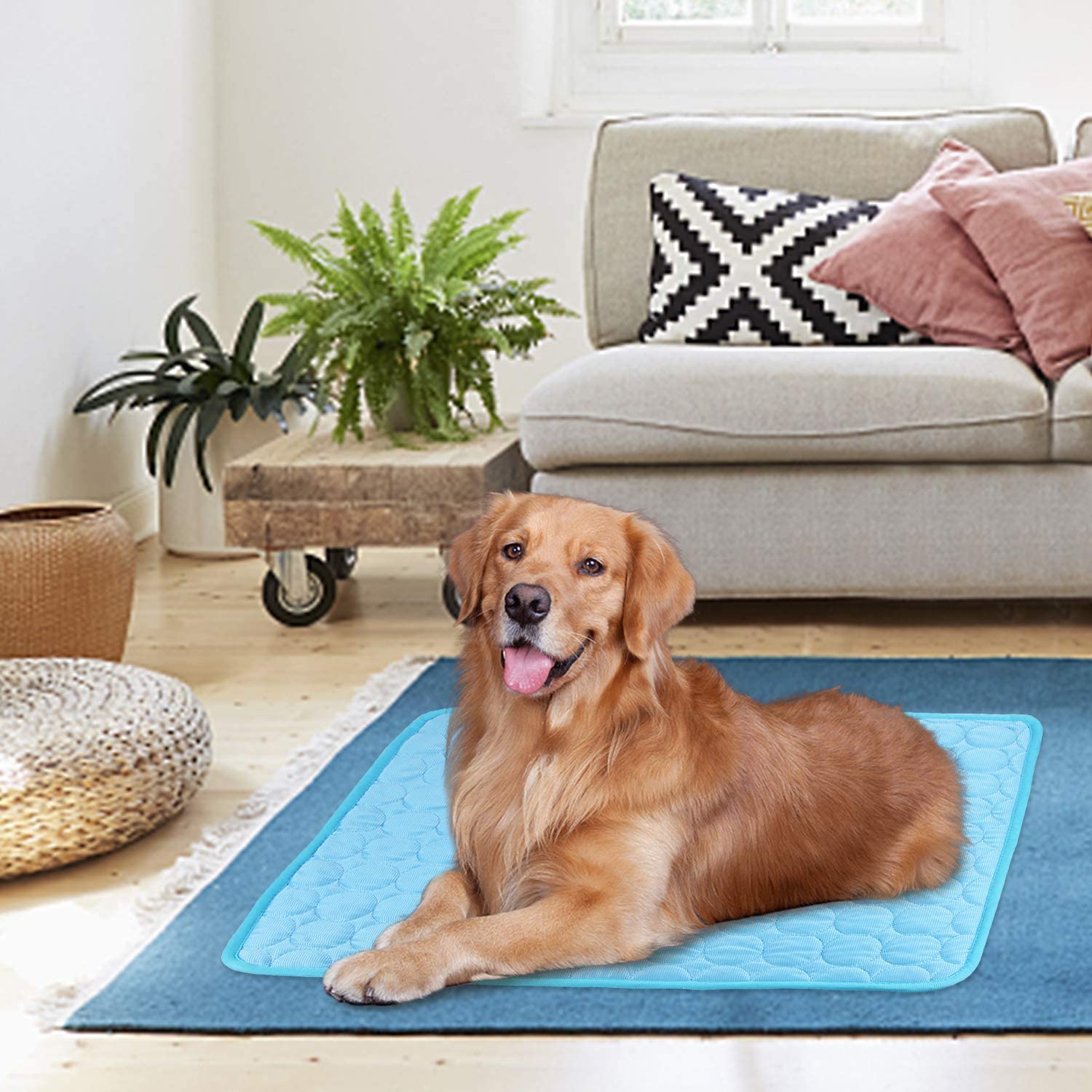 2- pack koelmat voor honden, wasbaar koeldeken voor honden en katten, ademende hondenmat, zomerbed voor honden, klein, middelgroot en groot
