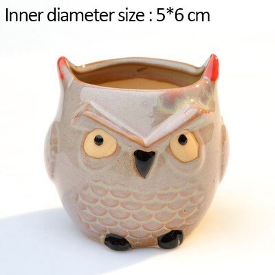 maison jardin décoration en céramique fleur Pos mignon hibou Miniature modèle Succulent Pot de fleur planteur décorations de bureau: F