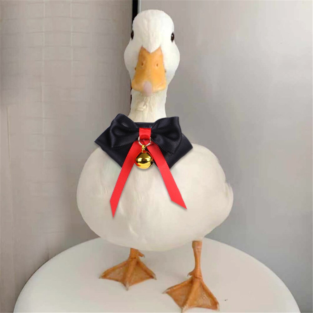 Collar para mascotas hecho a mano, pajarita, pollo, pato, ganso, Animal PEQUEÑO, campanas, bonita ropa de mascotas