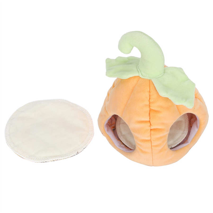 Kleine Huisdier Houden Warm Huis Cavia Chinchilla Egel Hamster Pompoen Katoen Nest