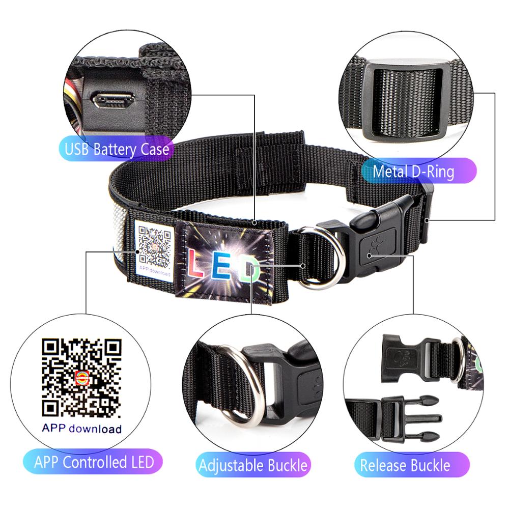 Led Pet Collar Bluetooth Programmable Scrolling Message Display Rechargeable Flashing Anti-Lost/Avoid Accident Led Dog Tag