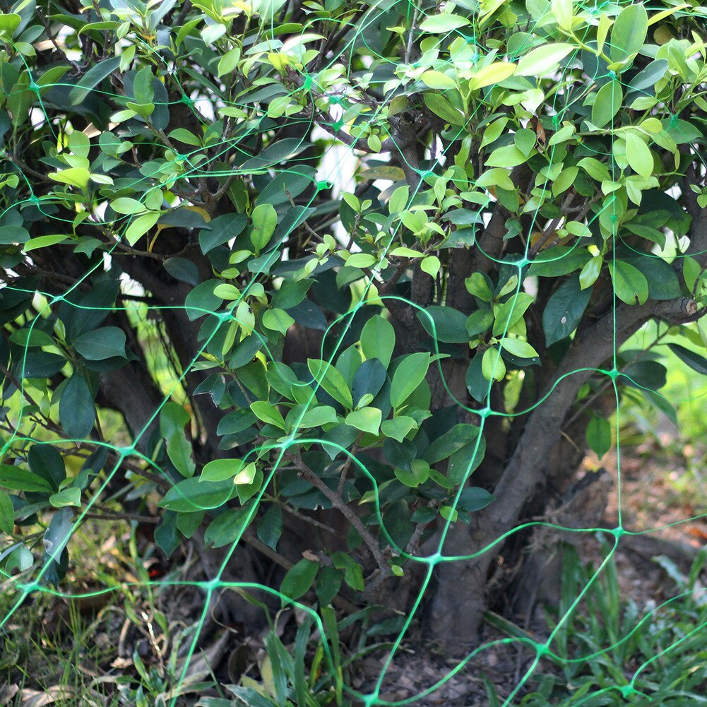Green Net Garden Fence Mesh Plant Vines Climbing Garden Decoration Gardening Net Bird Net Plastic Net For Growing