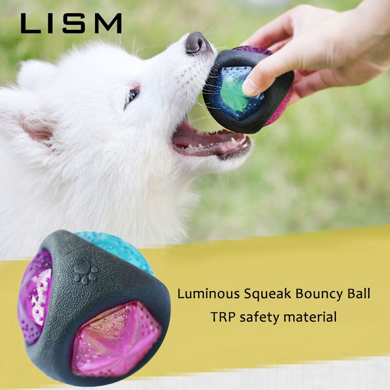 Hond Speelgoed Bal LED Lichtgevende Squeak Ball Rubber Bouncy bijtvast Hond Kauwen Bal Hond Training Voor Honden speelgoed Niet giftig Speelgoed