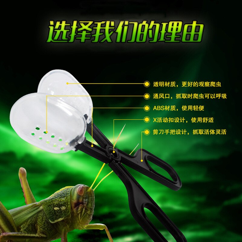 Pince pour animaux de compagnie orge Reptile insecte pain insecte Culture insecte alimentation nettoyage pince fumier plastique pince