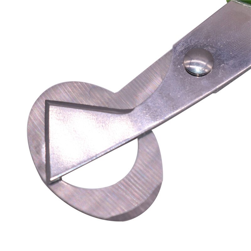Tijeras de acero inoxidable para abrir huevos de codorniz, utensilios de mano para la cocina, 1 unidad