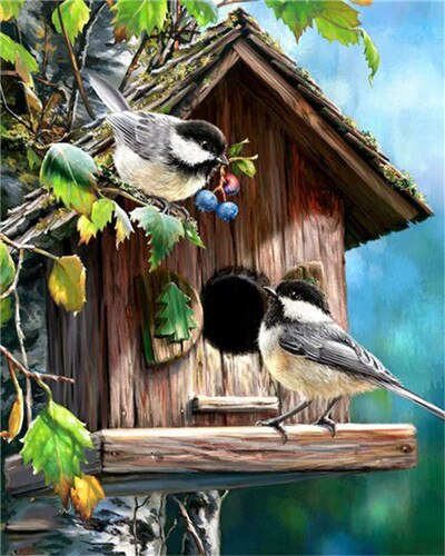 AZQSD Unframe peinture pour travaux manuels par numéros sur toile fleur Dewcor pour la maison peinture à l'huile par numéros ensemble oiseaux peint à la main