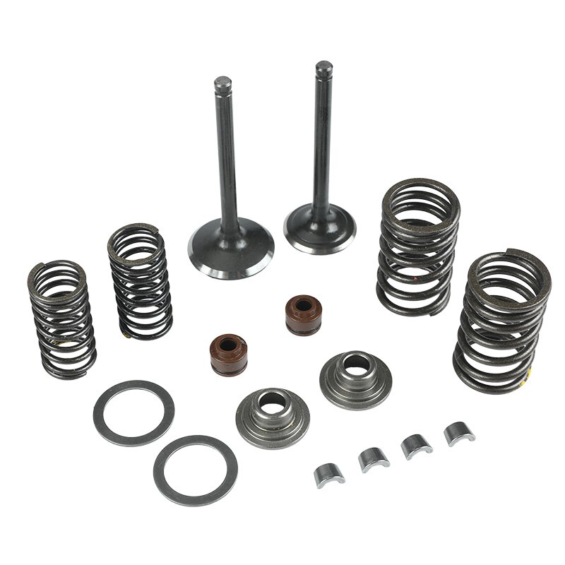 Motorcycle Intake Exhaust Valve comp Springs Cotter Seal Assy For Lifan 150 140 125cc Horizontal Engines Dirt Pit Bike ATV Quad