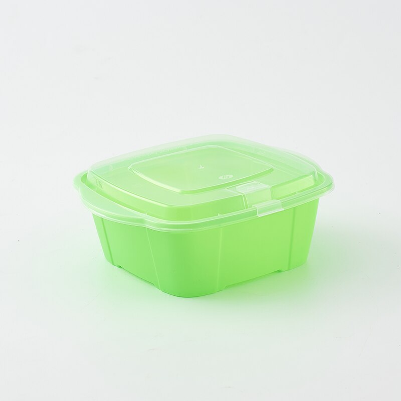 Disposable lunch box