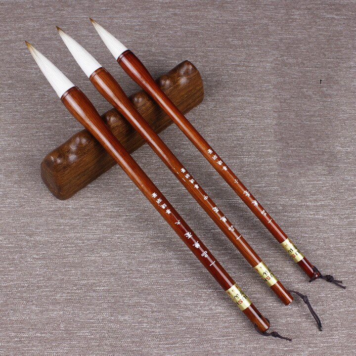 Special Offer for beginners training class