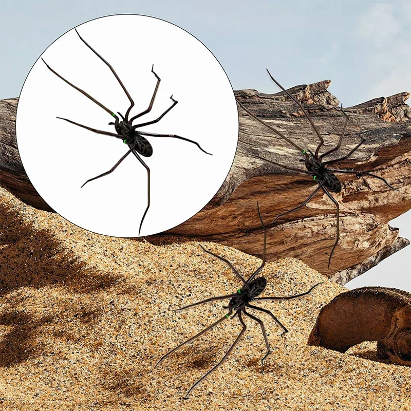 Magneti per frigorifero ragno arredamento per frigoriferi Divertenti novità Accessori magnetici per frigorifero Magnete per ragno Accessori per decorazioni per la casa