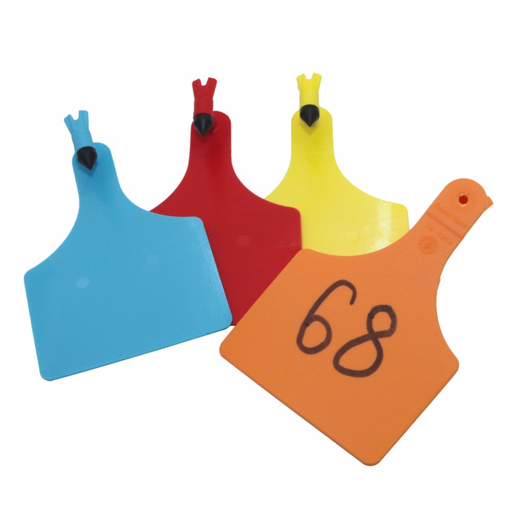10 PCS Grote vee oormerk Paard Geen hoeveelheid identificatiekaart 76x115mm Grote dier Voeden management accessoires