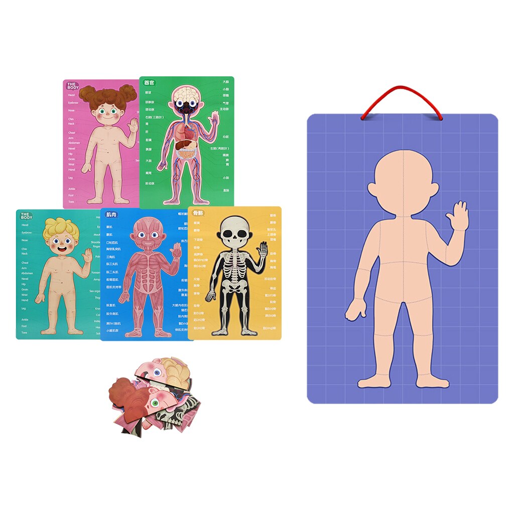 Wooden My Body Puzzle for Toddlers &amp; Kids - 89 Piece Kids Anatomy Play Set, Magnetic Pieces