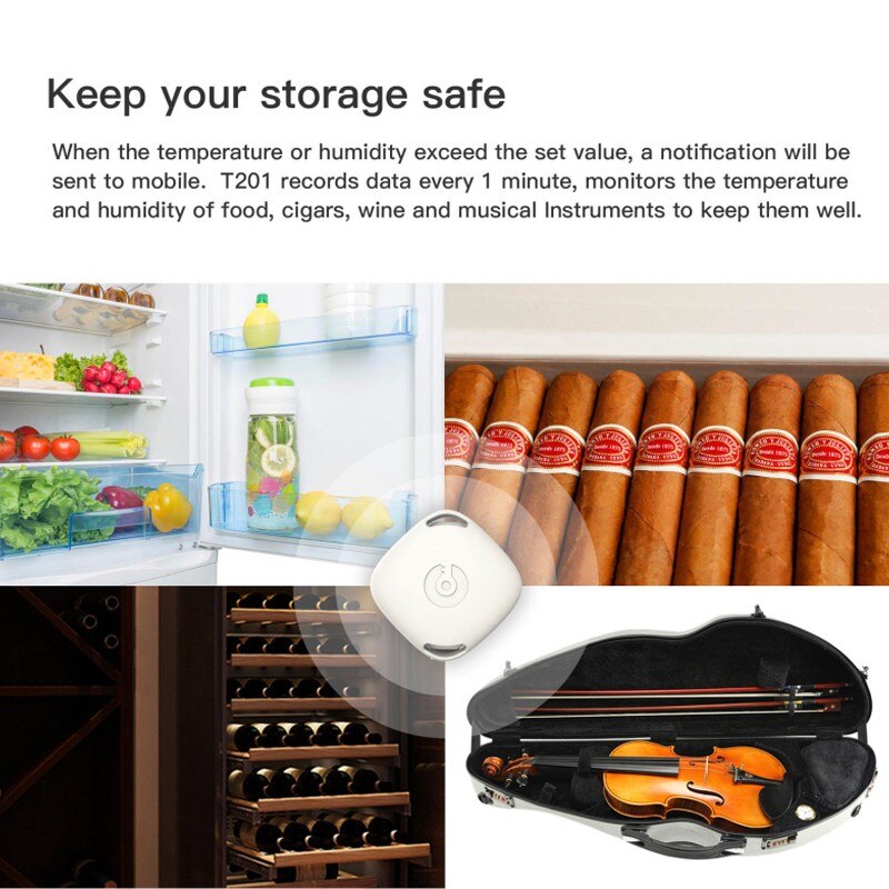 Bluetooth 5.0 Wireless Thermometer Hygrometer Temperature And Humidity Intelligent Sensor Sensor T201 Data Logger Indoor Outdoor