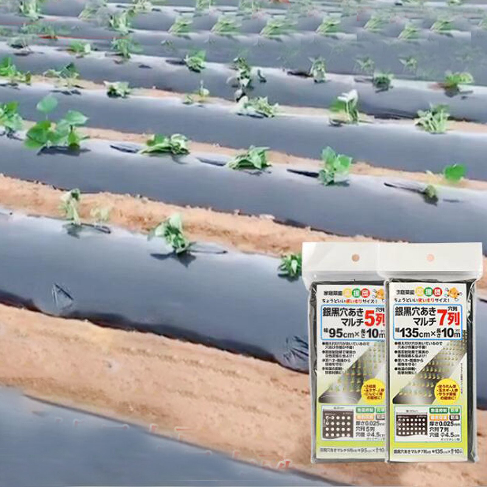 Garden Vegetable Black Film Agricultural Plants Film Plastic Perforated PE Mulch Film Mulching Membrane