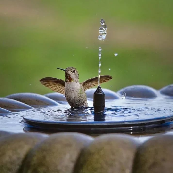 Solar--Brunnenpumpe, schwimmendes Solarpanel, Vogelbäder, Wasserbrunnen mit 4 Düsen für Garten, draussen, Wasser, Schwimmbad, Teich, Dekoration