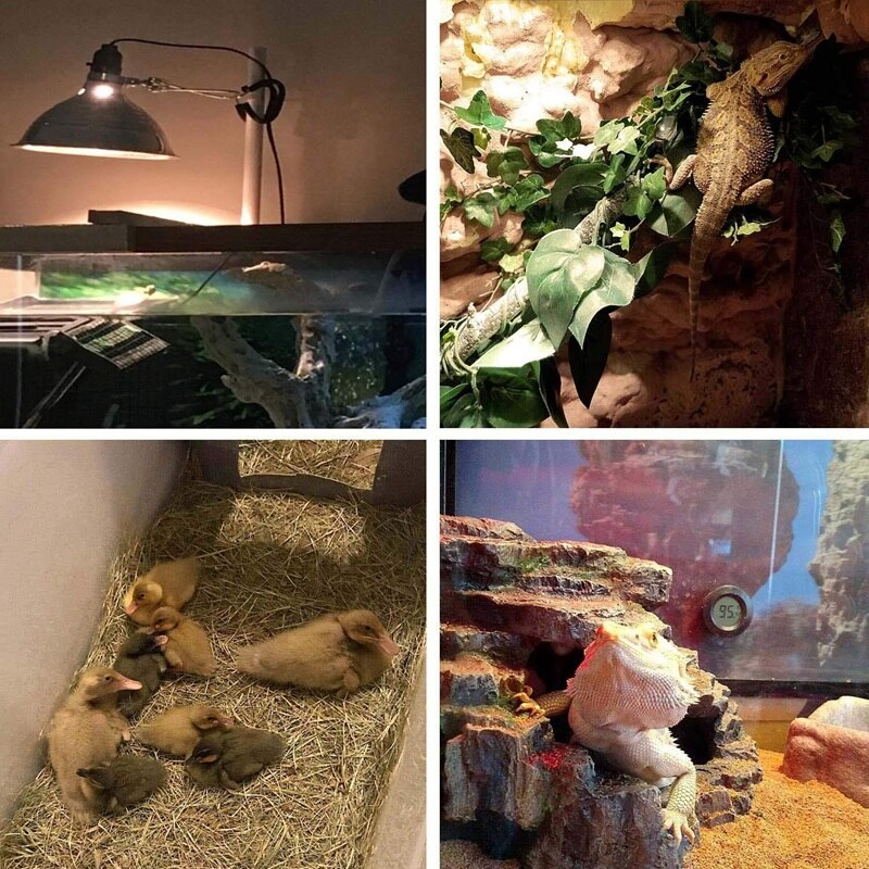 75W 2-Pack Basking Spot Heat Lamp Bulb 110V Soft Glow UVA Glass Cover Heat Lamp Bulb Light for Lizard Bearded Dragon Chameleon S