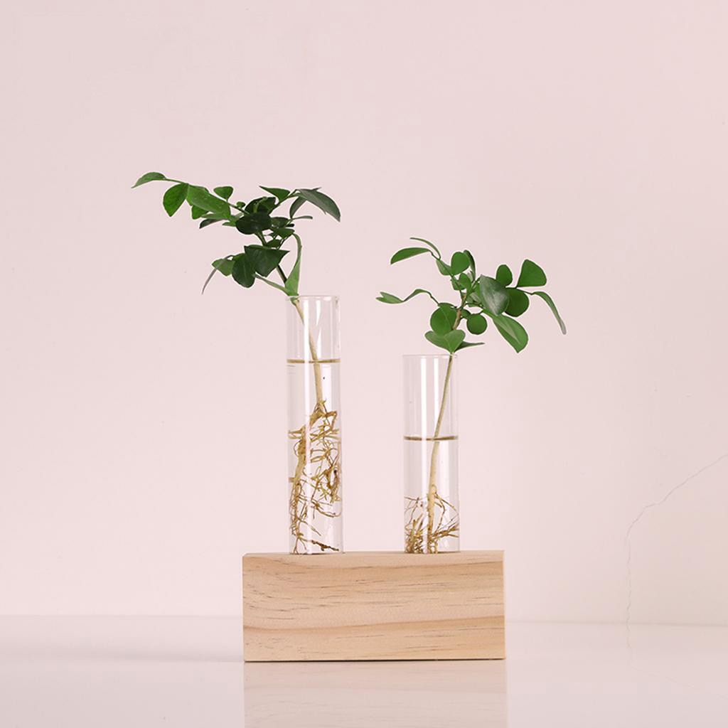 Krystalglas reagensglas vase blomster planter hydroponisk plantekasse+ træstativ dekoreret med en blomst boligindretning