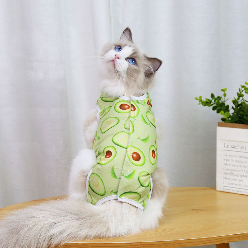 Terno profissional de recuperação para gatos, para feridas abdominais ou doenças da pele, terno neutro para gatos masculinos: XL / Verde
