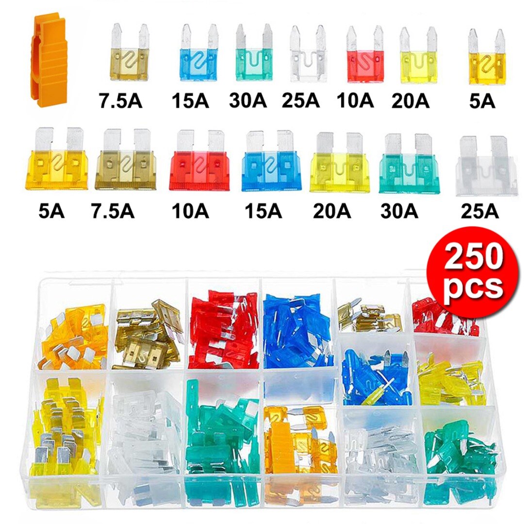 250pcs Car Fuses Assortment Auto Van Standard &amp; Mini Blade Fuse 5-30AMP Set