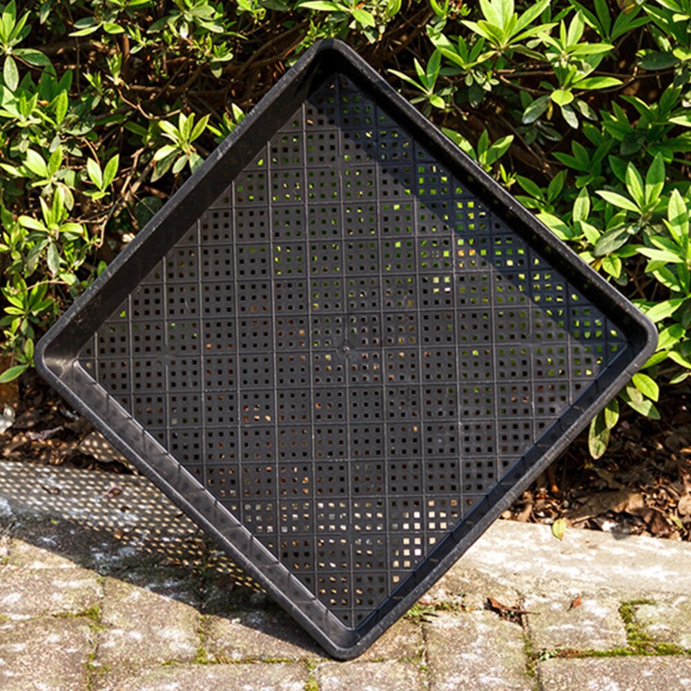 Starterbakken voor zaailingen,Seed Start Trays Plant Starter met 12 Cellen | broeikas kiembakken voor zaden die beginnen te ontkiemen Smashing