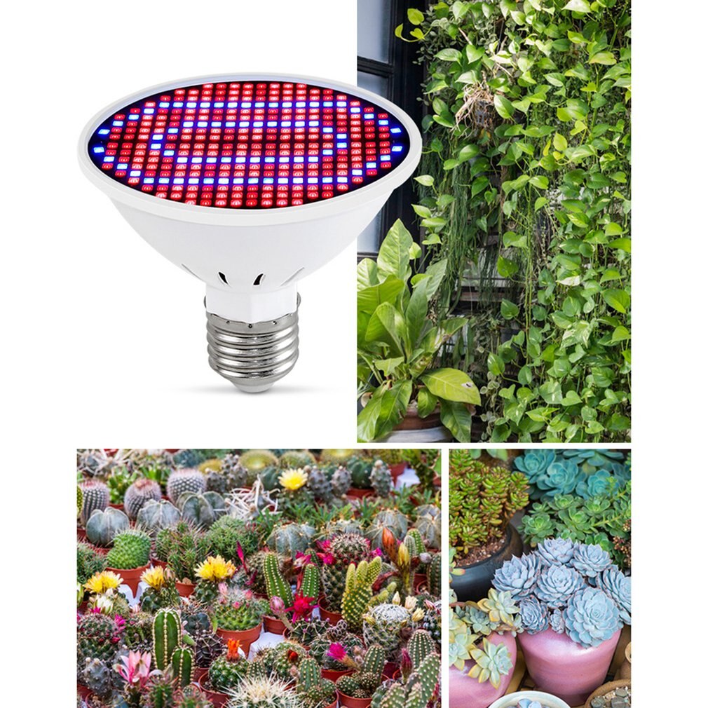 Red And Blue Light Plant Grow Led Light Bulbs Lamp Lighting For Vegs Hydro Flower Greenhouse Veg Indoor Garden Phyto Growbox