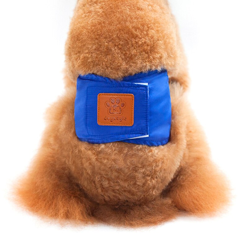 Couche réutilisable pour chien, sous-vêtement en coton, accessoire hygiénique pour animal de compagnie: Bleu / L