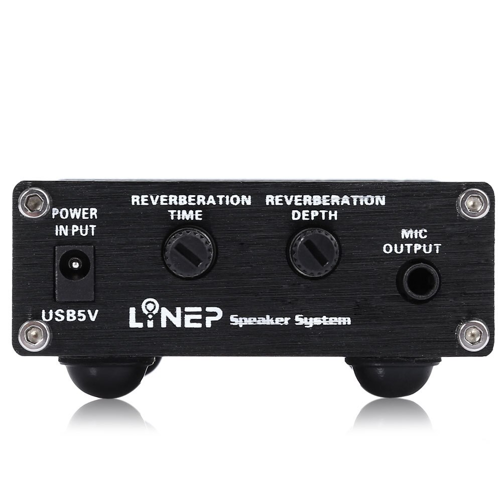 Professionele Microfoon Versterker Dual Microfoon Versterker Computer Microfoon Versterker Microfoon Reverb